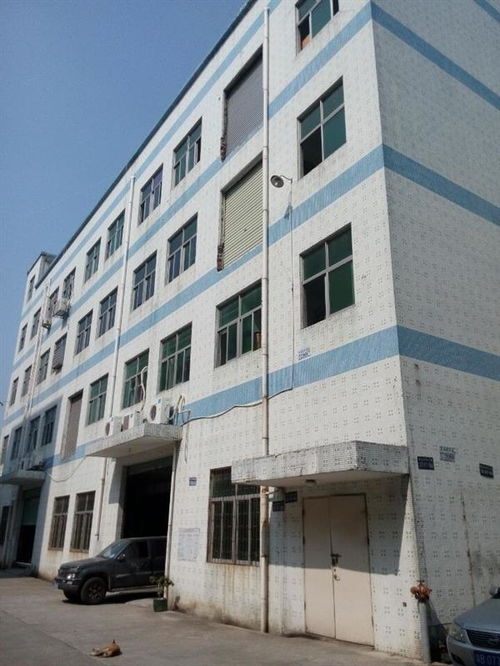 廣州市廠房結(jié)構(gòu)安全檢測公司哪家正規(guī)？工程設(shè)計需重視專業(yè)檢測